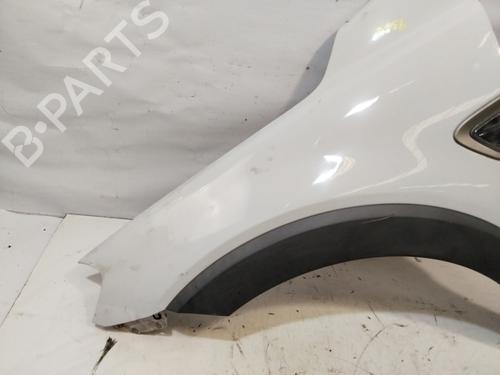 Left front fenders CHEVROLET CAPTIVA (C100, C140) 2.0 D | BP29464198C41 