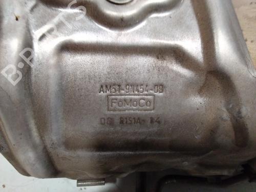 Catalyst FORD TOURNEO CONNECT / GRAND TOURNEO CONNECT V408 MPV 1.6 TDCi | BP29395975M10 