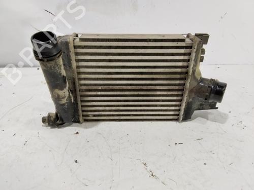 Intercooler DACIA SANDERO II [2012-2025]  31096117