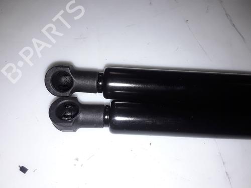 Tailgate lift support BMW X5 (E53) 3.0 d | BP14054296C138 