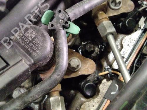 Engine FORD FOCUS III 1.6 TDCi | BP28120461M1 