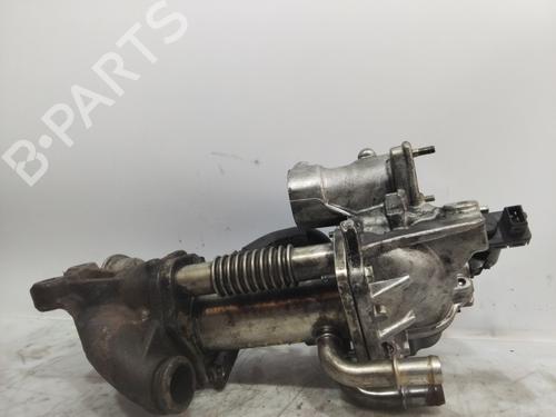 Egr RENAULT MEGANE III Hatchback (BZ0/1_, B3_)  | BP22274780M69 