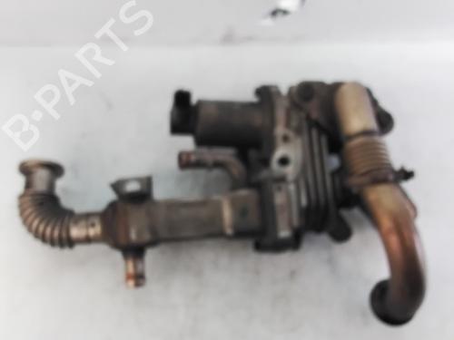 Egr RENAULT SCÉNIC II (JM0/1_) 1.9 dCi (JM0G, JM12, JM1G, JM2C) | BP29828122M69