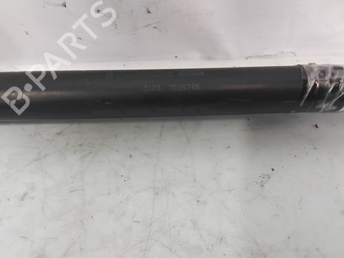 Hood lift support BMW 5 (E60)  | BP29589593C139 