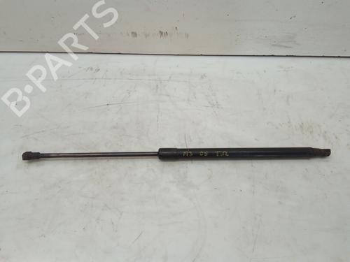 Gassdemper Bakluke AUDI A3 (8P1) 1.9 TDI (105 hp) 14054273