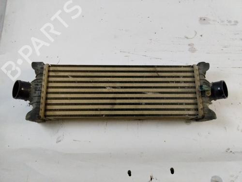 Intercooler radiateur FORD TRANSIT Van (FA_ _) [2006-2014]  21604650