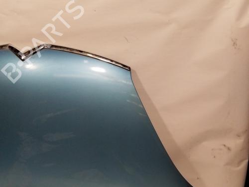 Hood CITROËN C4 Picasso I MPV (UD_) 1.6 HDi | BP28677090C1 