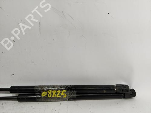Tailgate lift support SEAT LEON (1M1) 1.6 | BP25467250C138 