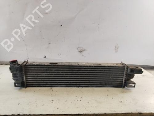 Used Intercooler RENAULT TRAFIC III Van (FG_) [2014-2025]  21001840
