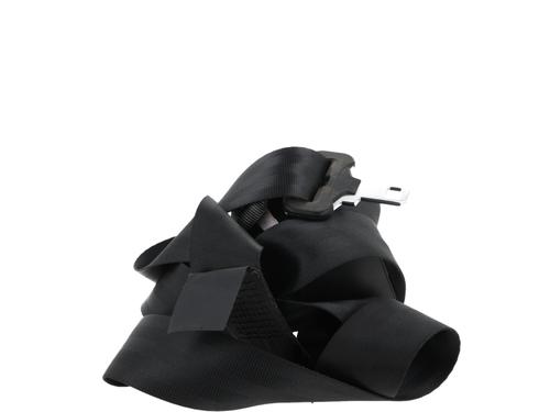 Rear left seatbelt RENAULT MEGANE III Hatchback (BZ0/1_, B3_) 1.2 TCe (BZ16, BZ28) | BP29549977I29 
