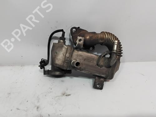 Egr RENAULT GRAND SCÉNIC III (JZ0/1_)  | BP30001586M69 