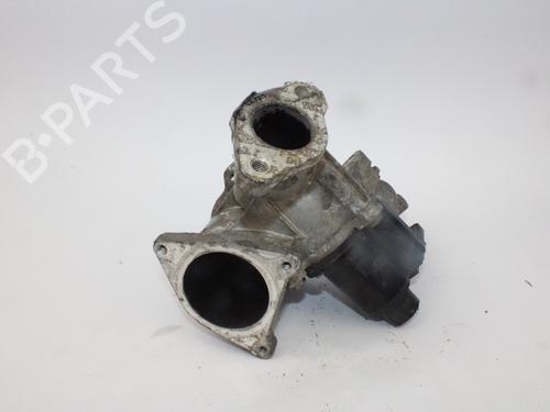 Used Egr SEAT IBIZA III (6L1) [2002-2009]  13906207
