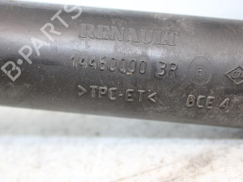 Pipe RENAULT MEGANE III Coupe (DZ0/1_) 1.2 TCe (DZ2B, DZ11) | BP17959779M125