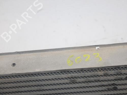 Intercooler RENAULT MEGANE II Saloon (LM0/1_) | BP17320513M30