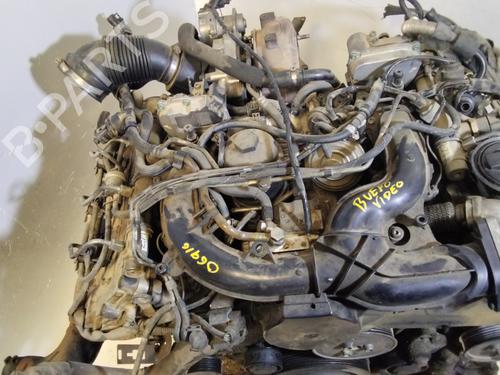 Engine AUDI A6 C6 Avant (4F5)  | BP18903770M1 
