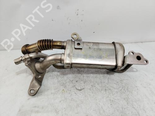 Egr RENAULT CLIO IV (BH_)  | BP24443892M69 