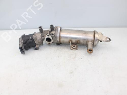 Egr LAND ROVER DISCOVERY III (L319) 2.7 TD 4x4 | BP17645443M69 