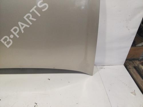 Hood RENAULT MEGANE II (BM0/1_, CM0/1_) 1.9 dCi | BP22697656C1 