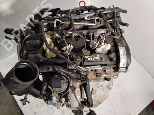 Engine SEAT IBIZA IV (6J5, 6P1) 1.6 TDI | BP25651820M1 