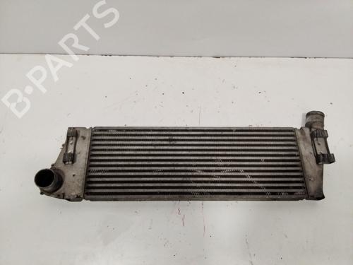 Used Intercooler RENAULT CLIO III (BR0/1, CR0/1) 1.5 dCi (75 hp) 27354964