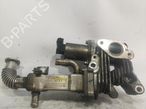 Egr RENAULT SCÉNIC II (JM0/1_) 1.9 dCi (JM0G, JM12, JM1G, JM2C) (120 hp) 22943409