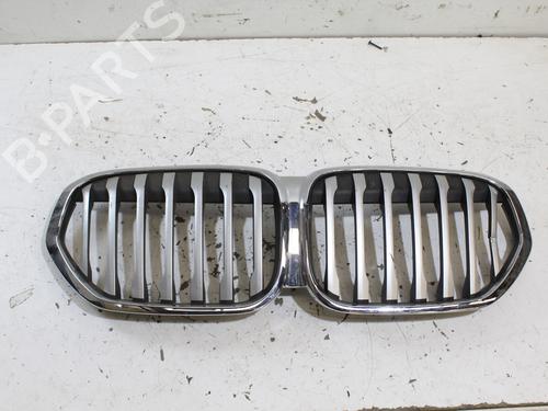 Grill/Gitter BMW X1 (E84) [2009-2015]  17743244