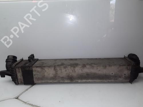 Used Intercooler RENAULT LAGUNA III (BT0/1) 2.0 dCi (BT07, BT0J, BT14, BT1A, BT1S) (131 hp) 9948510