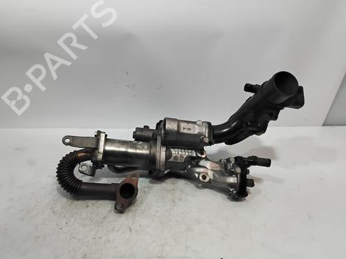 Egr RENAULT MEGANE II (BM0/1_, CM0/1_) 1.5 dCi (BM1F, CM1F) | BP29982653M69