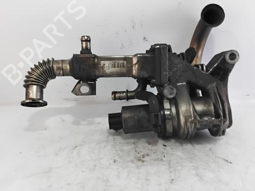 Egr RENAULT SCÉNIC II (JM0/1_) 1.9 dCi (JM0G, JM12, JM1G, JM2C) | BP29828122M69