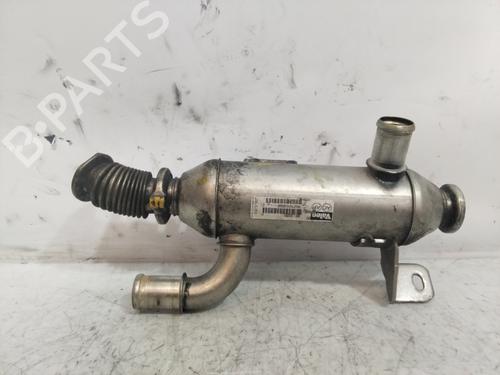 Egr CITROËN XSARA Coupe (N0) 2.0 HDi 109 | BP25906622M69