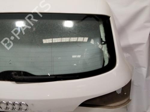 Tailgate AUDI Q5 (8RB)  | BP29070528C6 