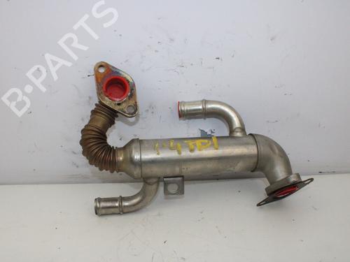 Egr VW POLO IV (9N_, 9A_) 1.4 TDI | BP14057189M69 