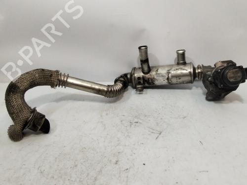 EGR-Ventil PEUGEOT 207 (WA_, WC_) [2006-2015]  31248313