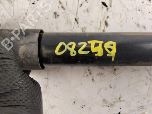 Right rear shock absorber VW TRANSPORTER T5 Van (7HA, 7HH, 7EA, 7EH)  | BP29728040M19 