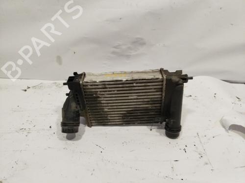 Intercooler NISSAN QASHQAI II SUV (J11, J11_) [2013-2025]  24849506