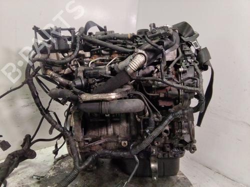 Engine FORD FOCUS III 1.6 TDCi | BP28120461M1 