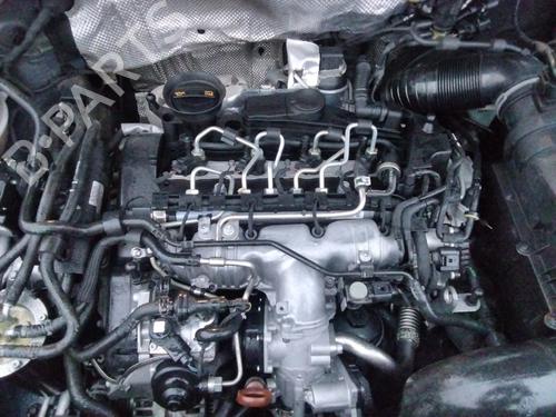 Left tailgate light VW TIGUAN (5N_)  | BP33208008C79  - Image 6