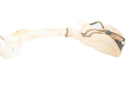 BP31093833C113 main image