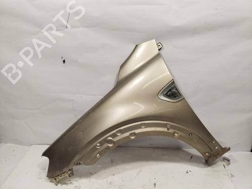 Left front fenders CHEVROLET CAPTIVA (C100, C140)  | BP28588917C41