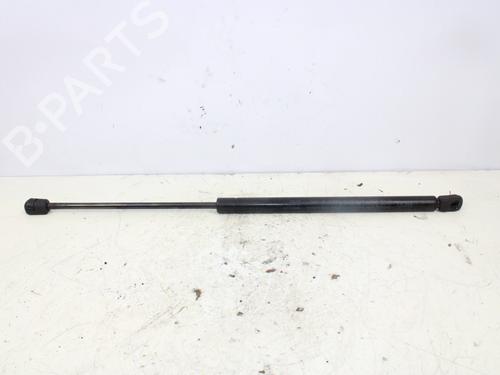 Used Hood lift support AUDI A3 (8L1) [1996-2006]  15283951