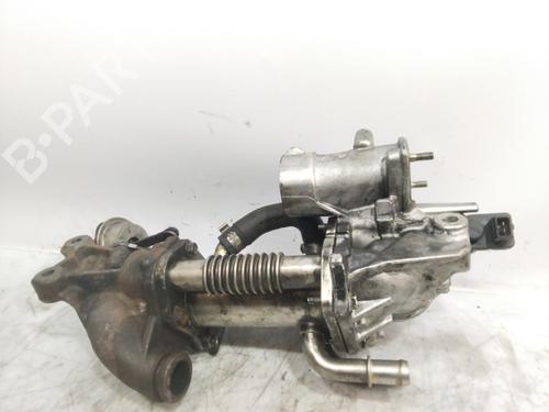 Egr RENAULT MEGANE III Hatchback (BZ0/1_, B3_)  | BP22274780M69 