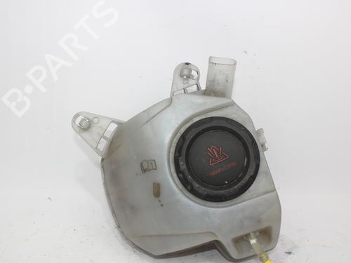 Used Expansion tank RENAULT SCÉNIC II (JM0/1_) [2003-2010]  12306920