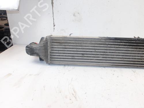Intercooler MERCEDES-BENZ E-CLASS (W212) E 350 CDI (212.023) | BP16886173M30 