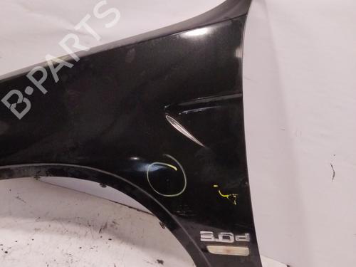 Left front fenders BMW X5 (E53) 3.0 d | BP25873881C41 