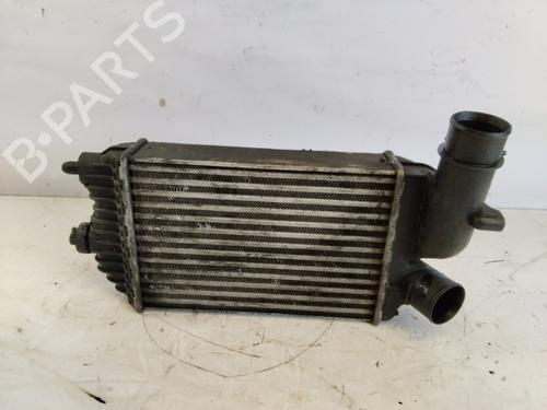 Intercooler PEUGEOT BOXER Van (244)  | BP30061486M30 