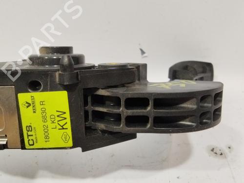 Pedal RENAULT MEGANE IV Hatchback (B9A/M/N_) 1.5 dCi 110 (B9A3) | BP28725486I4 