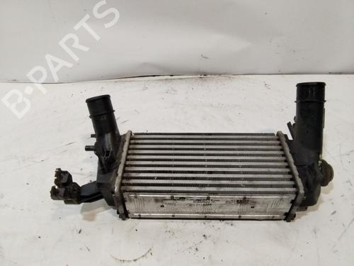 Intercooler FORD ECOSPORT 1.0 EcoBoost | BP29550039M30 