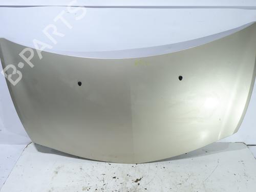 hood-renault-clio-iii-br01-cr01-2005-2006-2007-2008-2009-2010-2011-2012-2013-2014-39539962 main image