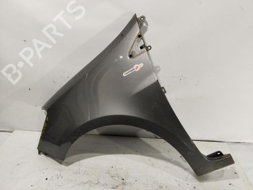 Left front fenders RENAULT CLIO III (BR0/1, CR0/1) | BP31091377C41