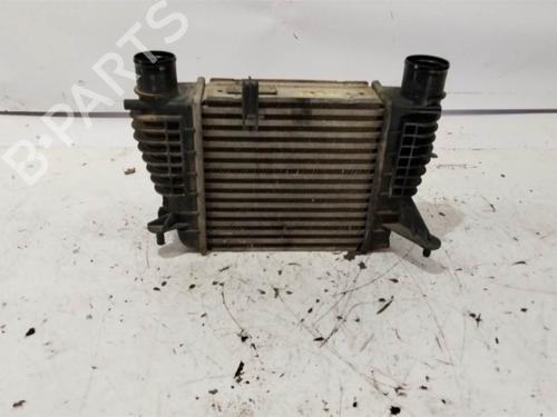 Used Intercooler Intercooler RENAULT CLIO III (BR0/1, CR0/1) 1.5 dCi (BR17, CR17) (86 hp) 39526684 39526684
